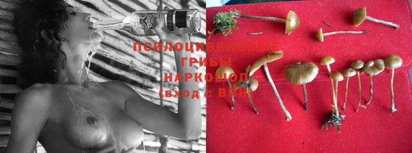 шишки Великий Новгород